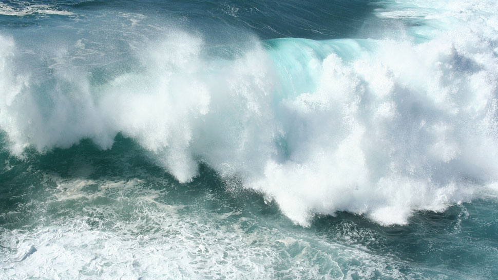 Markenbildung & Branding